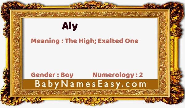 Aly name meaning