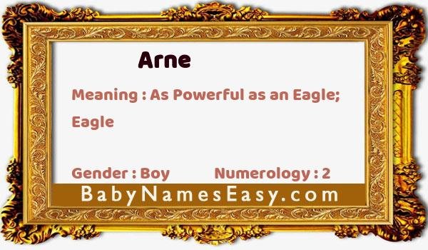 Arne name meaning