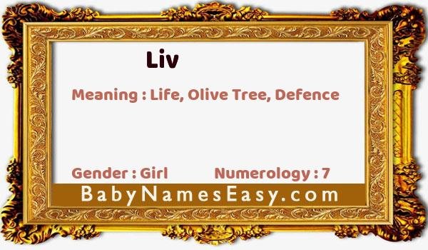 Liv name meaning