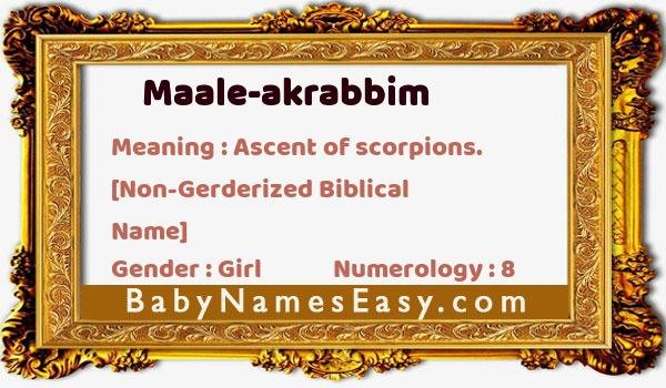 Maale-akrabbim name meaning