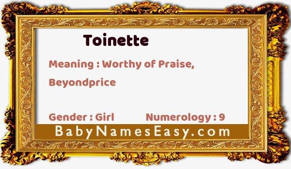 Toinette name meaning