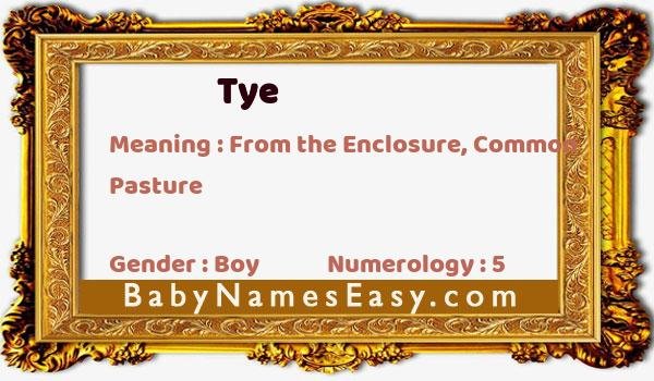 Tye name meaning
