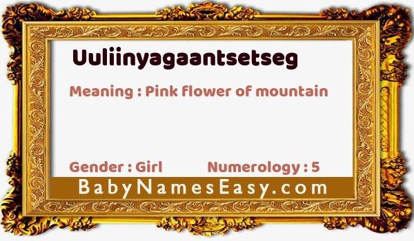 Uuliinyagaantsetseg name meaning